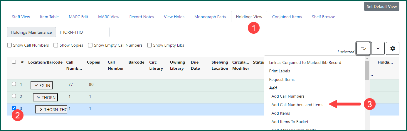 Select the Holdings View tab to access your holdings information