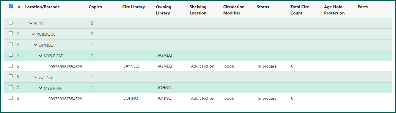 Image of the Holdings Editor with your new material